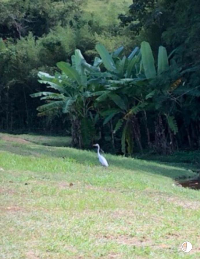 Vivenda Dos Guaranys -Um Projeto Ecologico - Casa Villa Conservatória Eksteriør billede