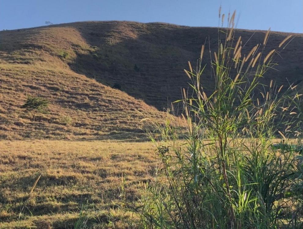 Vivenda Dos Guaranys -Um Projeto Ecologico - Casa Villa Conservatória Eksteriør billede