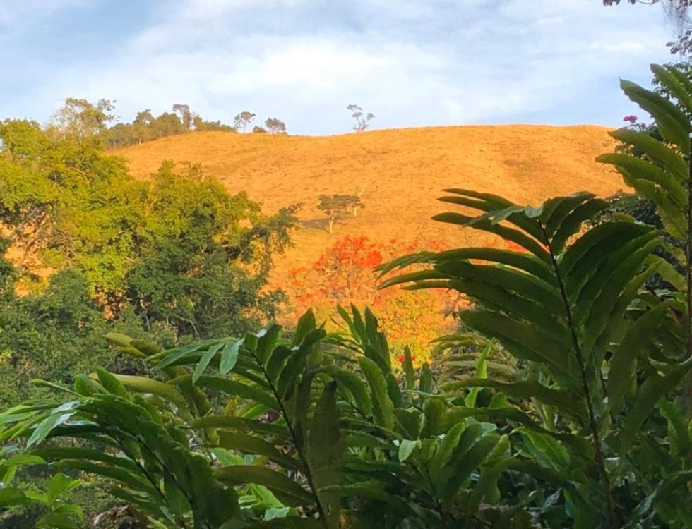 Vivenda Dos Guaranys -Um Projeto Ecologico - Casa Villa Conservatória Eksteriør billede